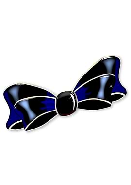 Black Silk Bow