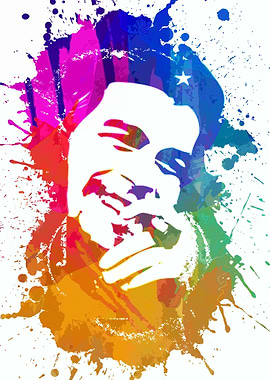 Guevaras return to Cuba