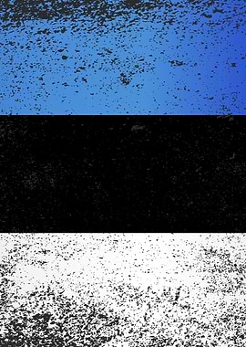Flag of Estonia Grunge