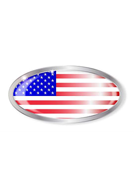 United States Flag Button