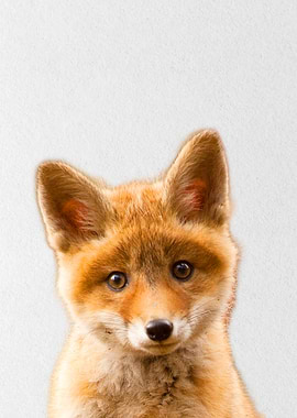 baby fox