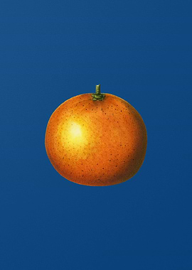 Orange on Classic Blue