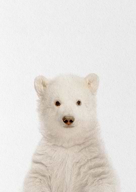 polar bear baby
