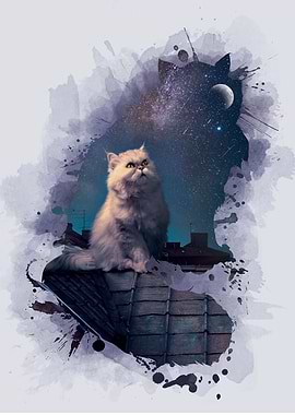 The Cat and The Moon