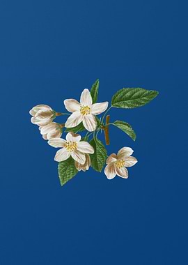 Crabapple on Classic Blue