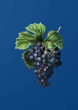 Grape Vine on Classic Blue