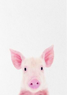 pink small pig