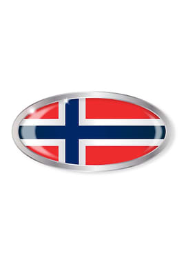 Norwegian Flag Oval Button