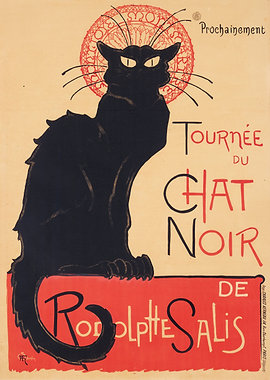 Chat Noir