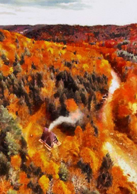 House in the autumn forest