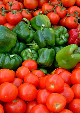 Tomatos and green peppers