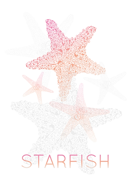 Starfish Silhouette