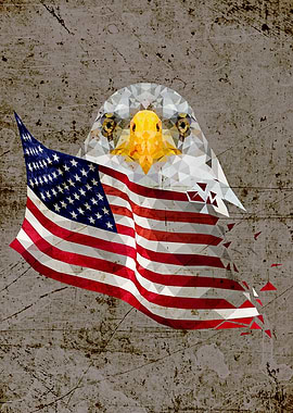 USA Bald Eagle