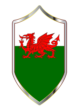 Welsh Flag Crusader Shield