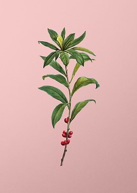 Vintage Pink Flowers