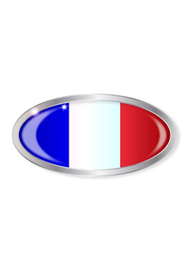 French Flag Oval Button