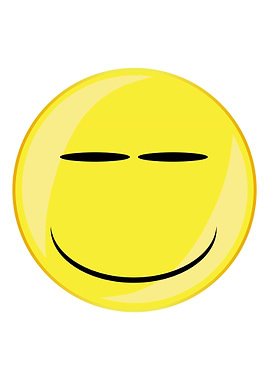 Smirk Smile Face