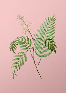 Vintage Floral on Pink