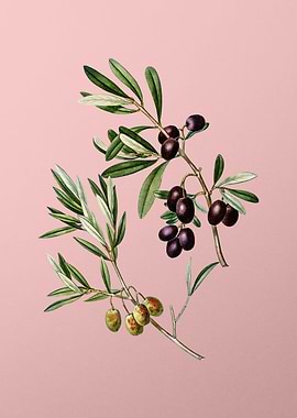 Vintage Fruit on Pink