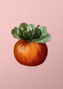 Vintage Fruit on Pink