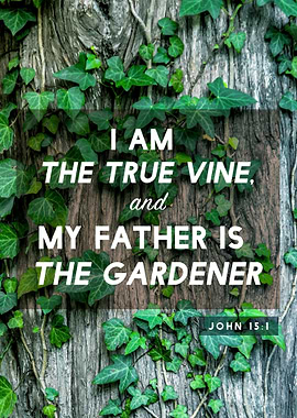 Jesus is the Vine
