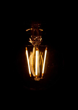 Bulb