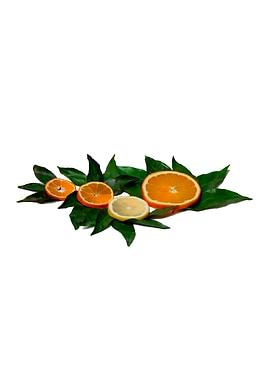 Slices Of Citrus Fruis