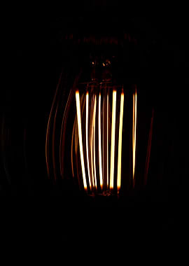Bulb
