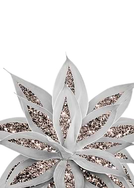 Gray Agave Glitter 3