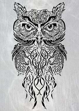 Haida Nature Owl