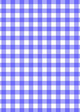 Blue Gingham Material
