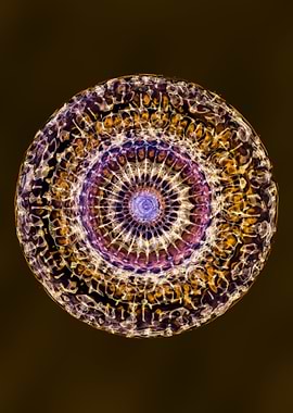 simplicity in complexity