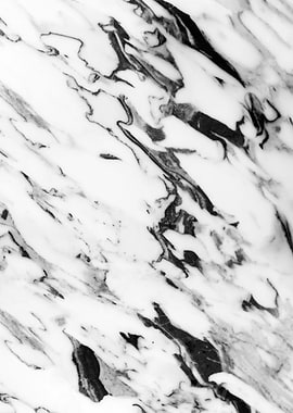 Classic White Marble 2