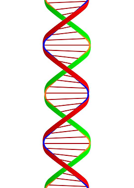 DNA Twin Spiral
