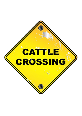 Cattle Crossing Sign