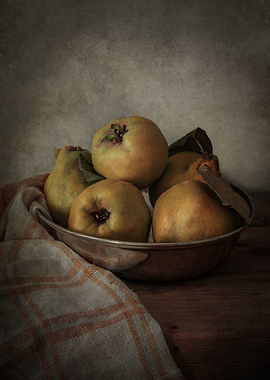Still life with quinces