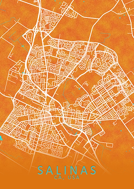 Salinas CA USA City Map
