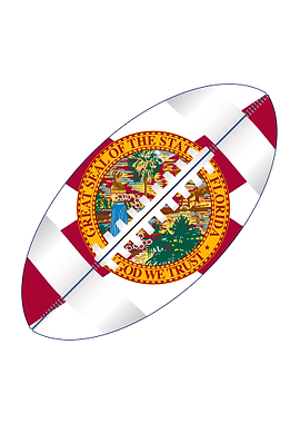Florida USA Football Ball
