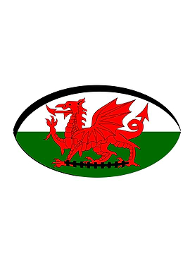 Welsh Flag Rugby Ball
