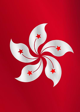 Chinese Hong Kong Flag