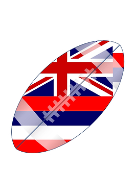 Hawaii State Football Flag