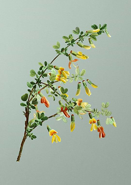 Classic Botanical on Green