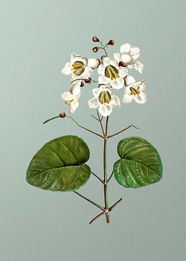 Classic Botanical on Green