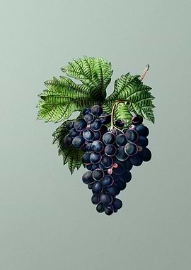 Antique Flower on Green