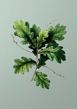 Vintage Flower on Green