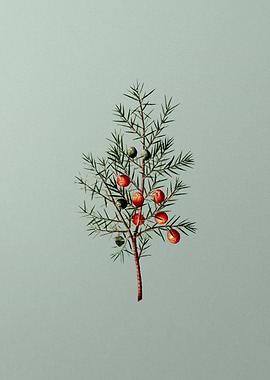 Classic Botanical on Green