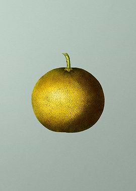 Vintage Botanical on Green