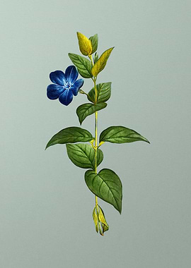 Antique Flower on Green