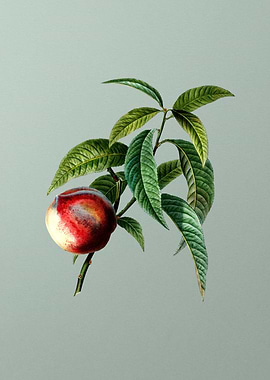 Classic Flower on Green