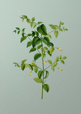 Floral Drawing on Green